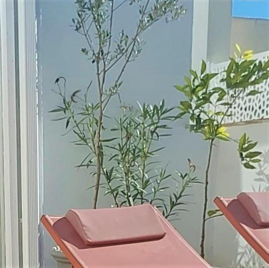Entre Catedrales Terrace Apartamento Sevilha Exterior foto
